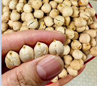 豆类怎么吃不胀气、稳血糖