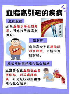 体检血脂哪几项代表高血脂，教你看懂化验单