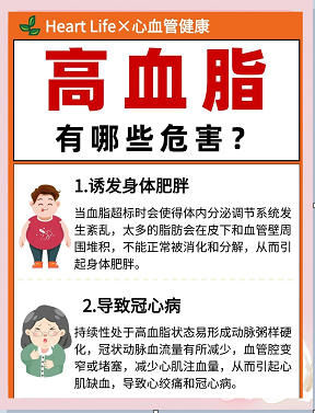 轻度高血脂要不要治疗？多数人都做错了