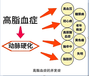 高血脂和高脂血症有区别吗？一次性说透